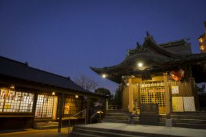 夜の琴平神社